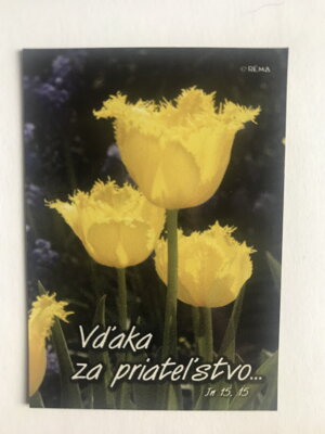Magnetka (BL 05) 