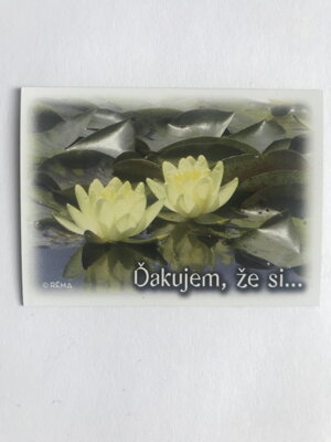 Magnetka (DZS 03) 