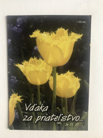 Magnetka (BL 05) 