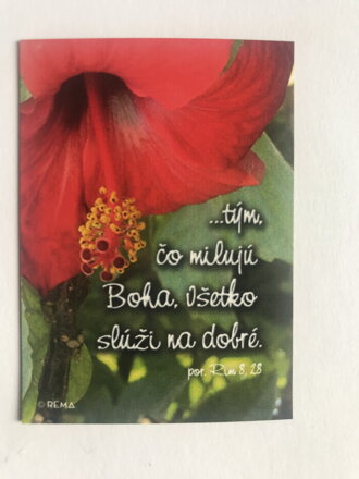 Magnetka (BL 08) 