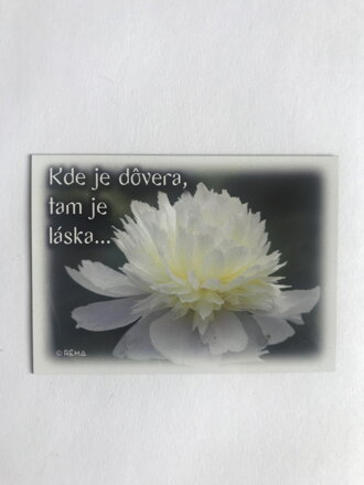 Magnetka (DZS 02) 