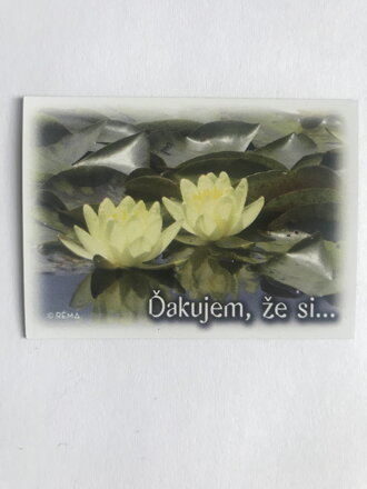 Magnetka (DZS 03) 