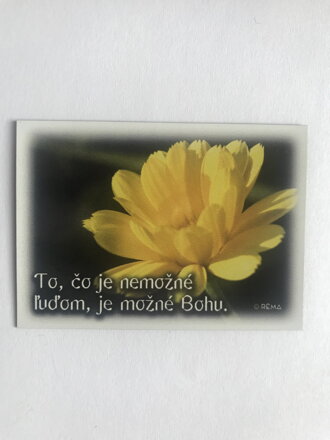 Magnetka (DZS 04) 